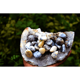 Merlinite Tumbles ( Dendritic agate )